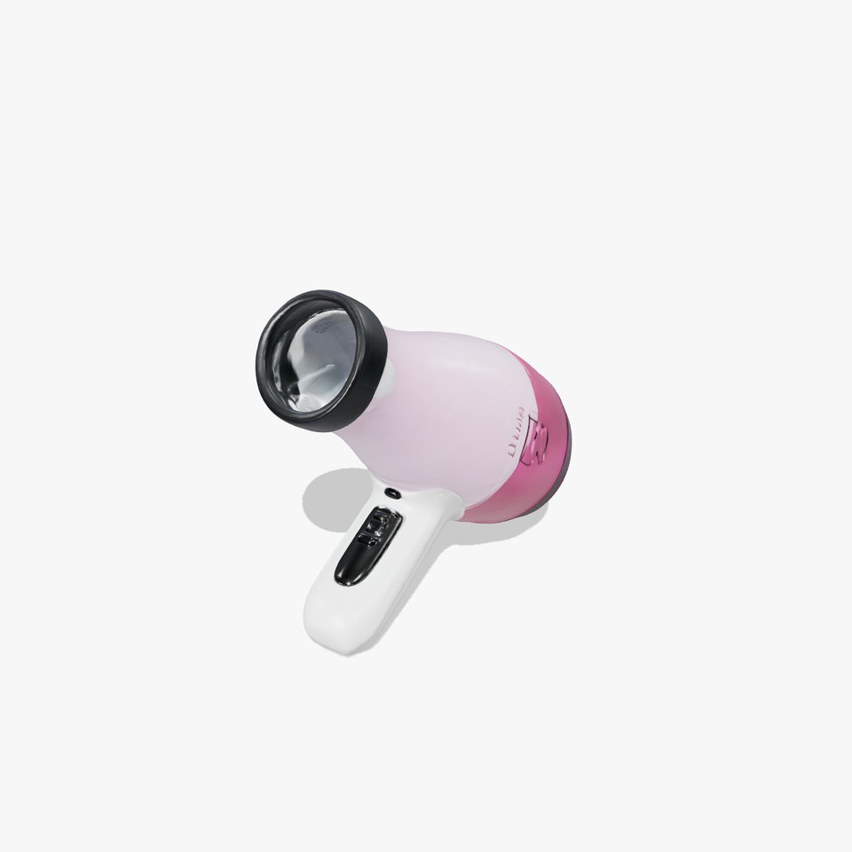 Professional Hair Dryer with Ionization Function